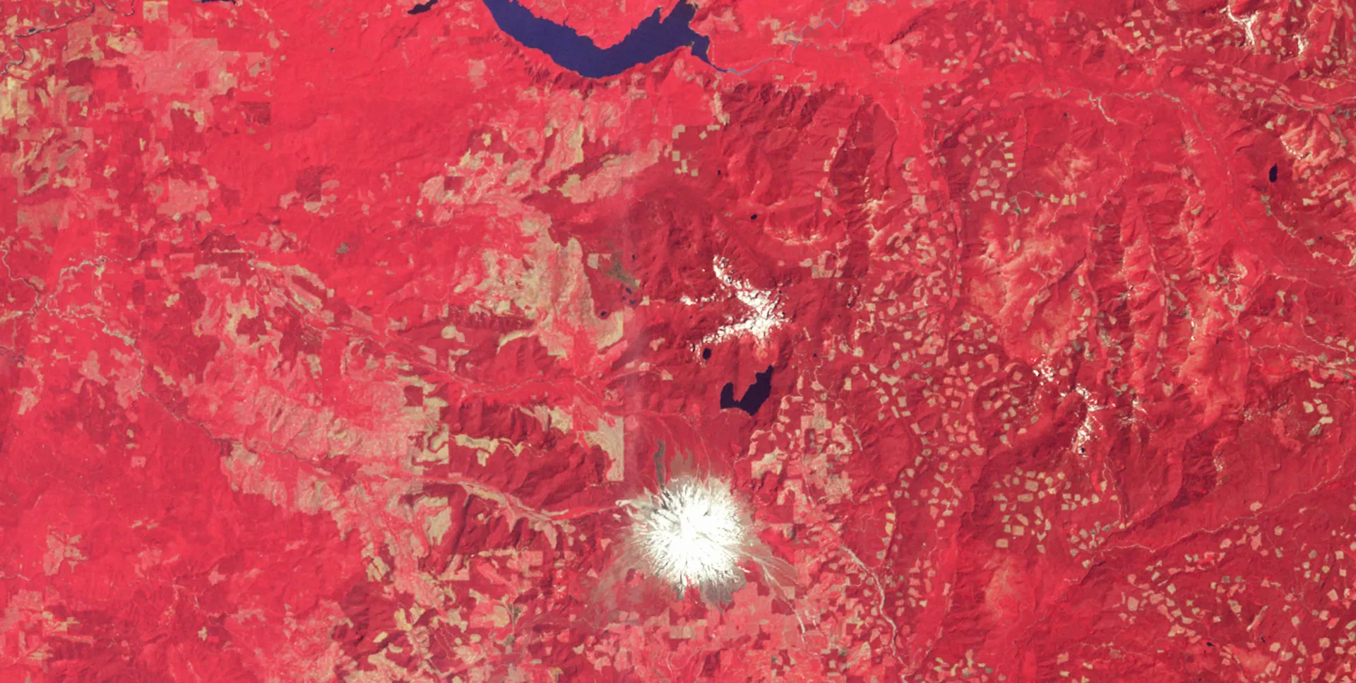 Near-infrared Landsat view of forested mountains in bright red, with the white, snow-covered summit of Mount St. Helens near the center.