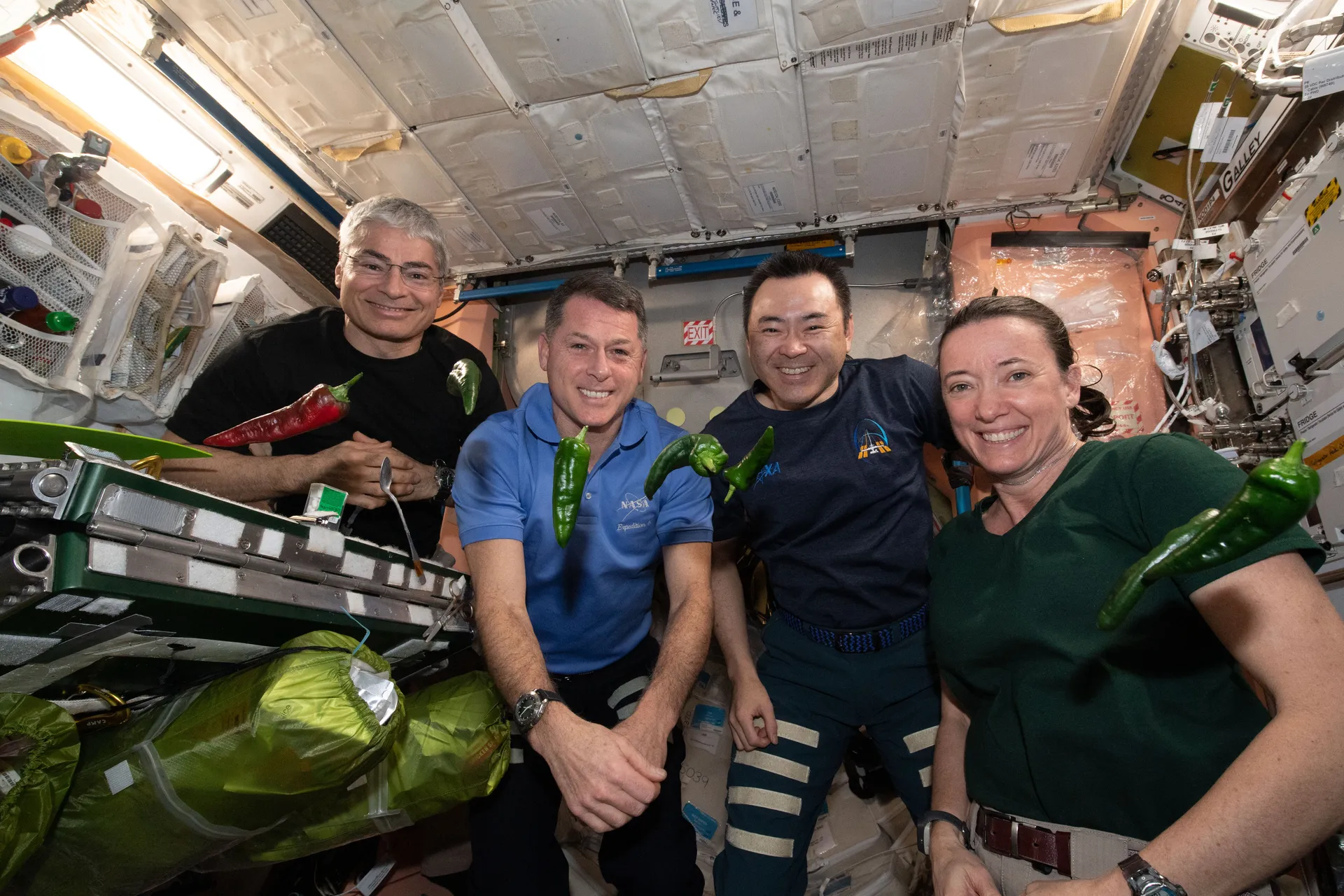 Four astronauts float together holding red and green chile peppers, with more peppers floating in front of them.